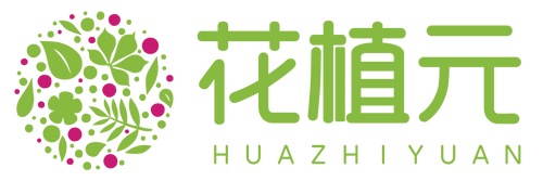 huazhiyuan logo